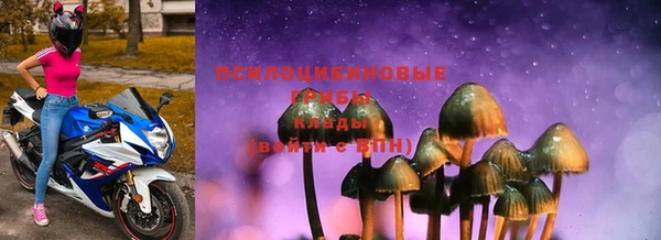 сатива Абинск