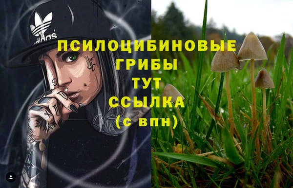 гашик Абдулино