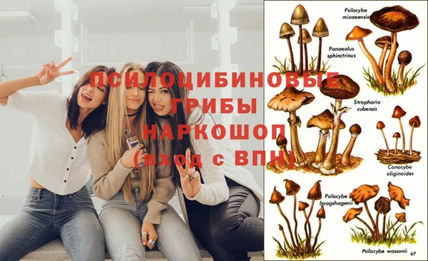 прущие крисы Алексеевка