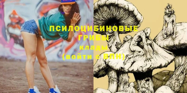 сатива Абинск