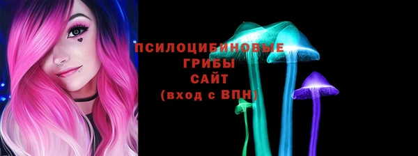 сатива Абинск