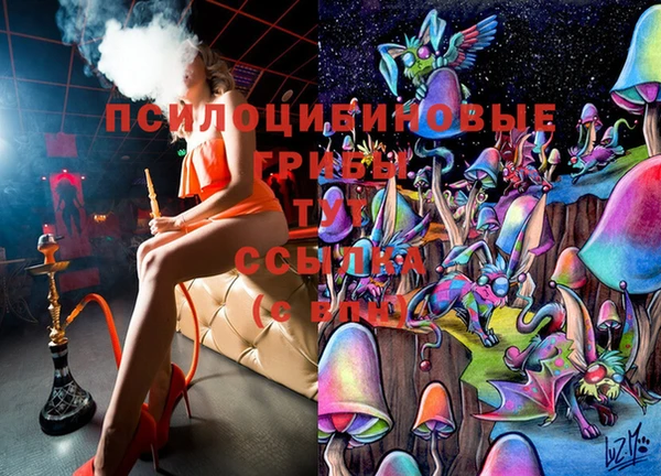 гашик Абдулино