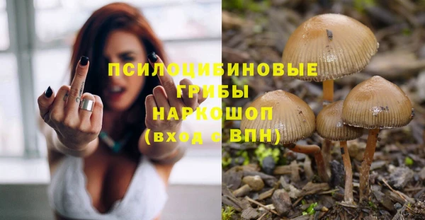 сатива Абинск