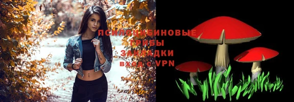 гашик Абдулино
